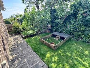Veggie Garden- click for photo gallery